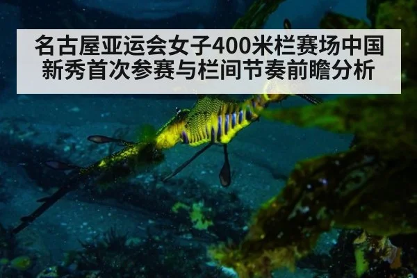 名古屋亚运会女子400米栏赛场中国新秀首次参赛与栏间节奏前瞻分析（j9 game）